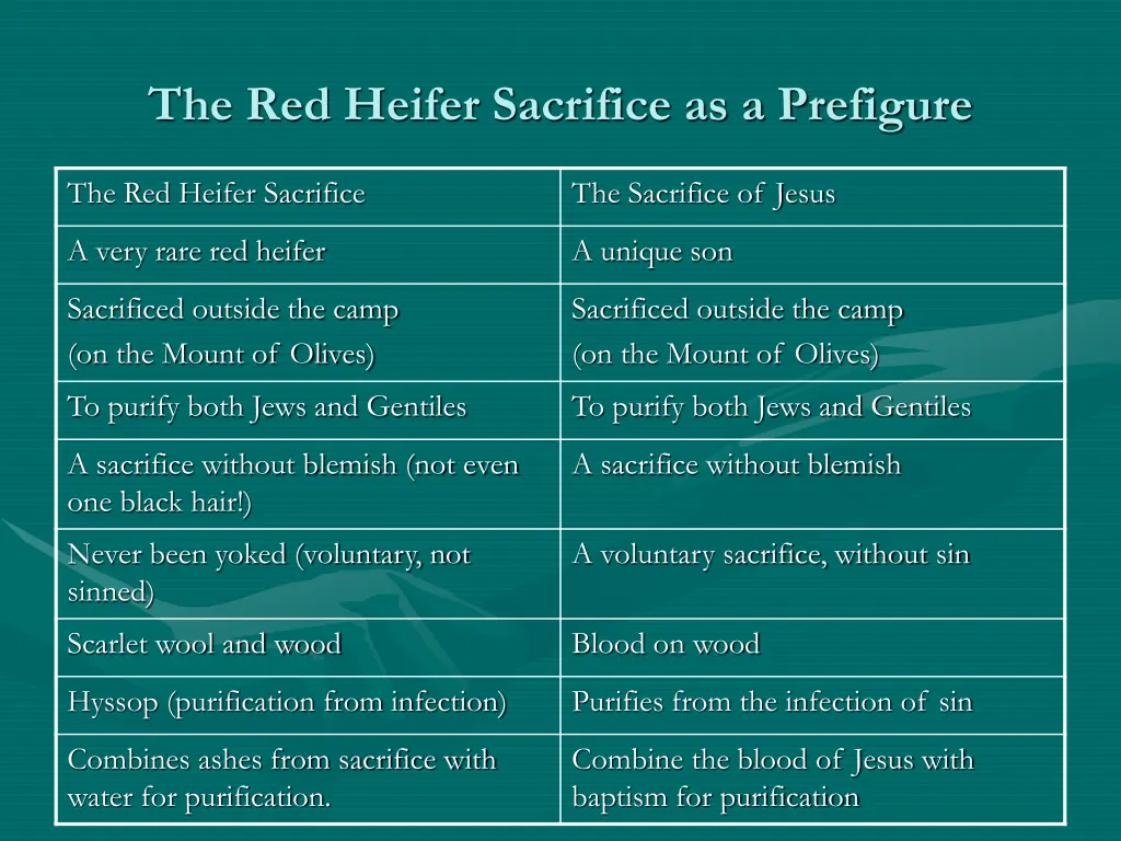 the red heifer sacrifice as a prefigure