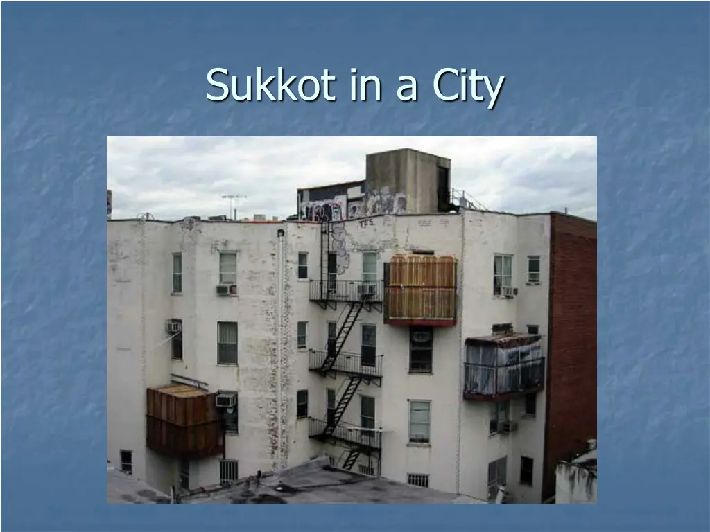 sukkot in a city