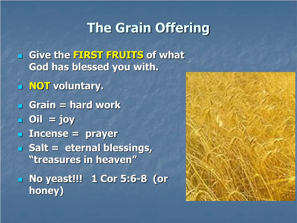 the grain offering