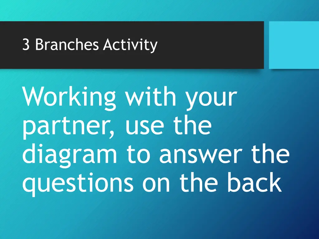 3 branches activity