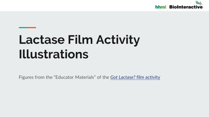 lactase film activity illustrations