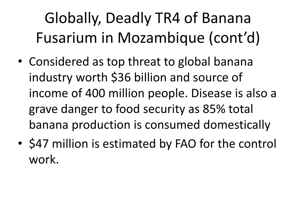 globally deadly tr4 of banana fusarium 1