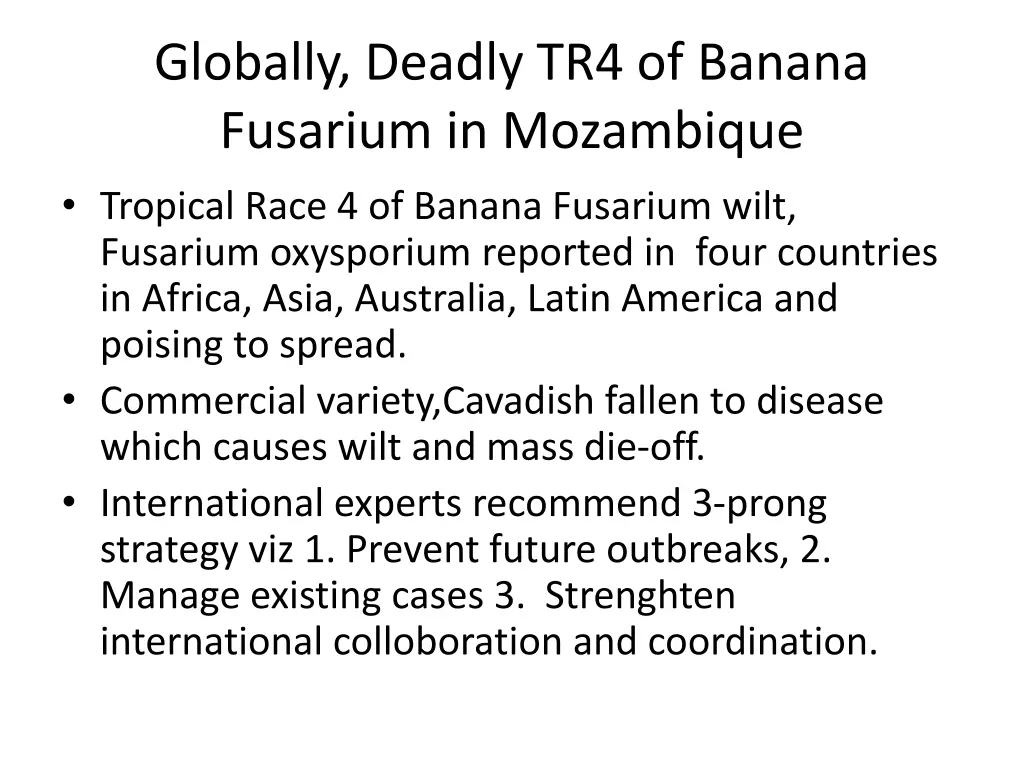 globally deadly tr4 of banana fusarium