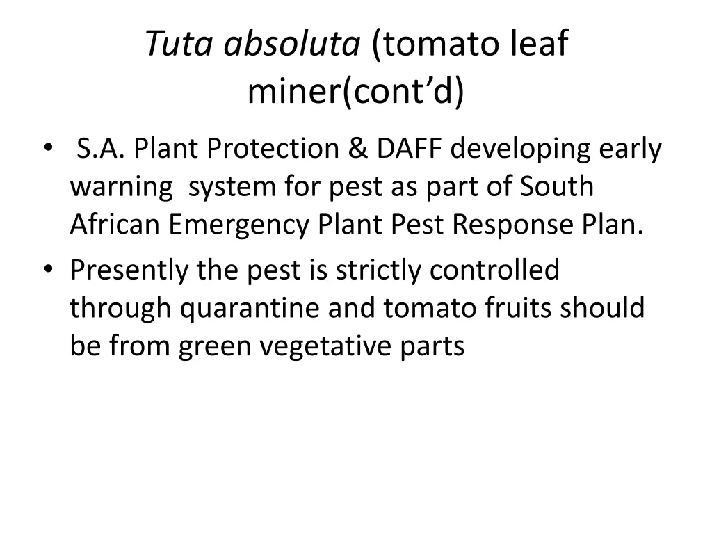 tuta absoluta tomato leaf miner cont d