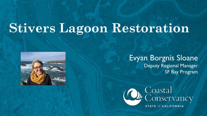 stivers lagoon restoration