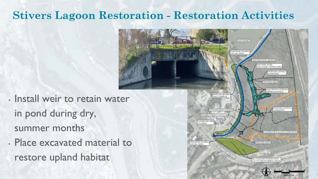 stivers lagoon restoration restoration activities 1