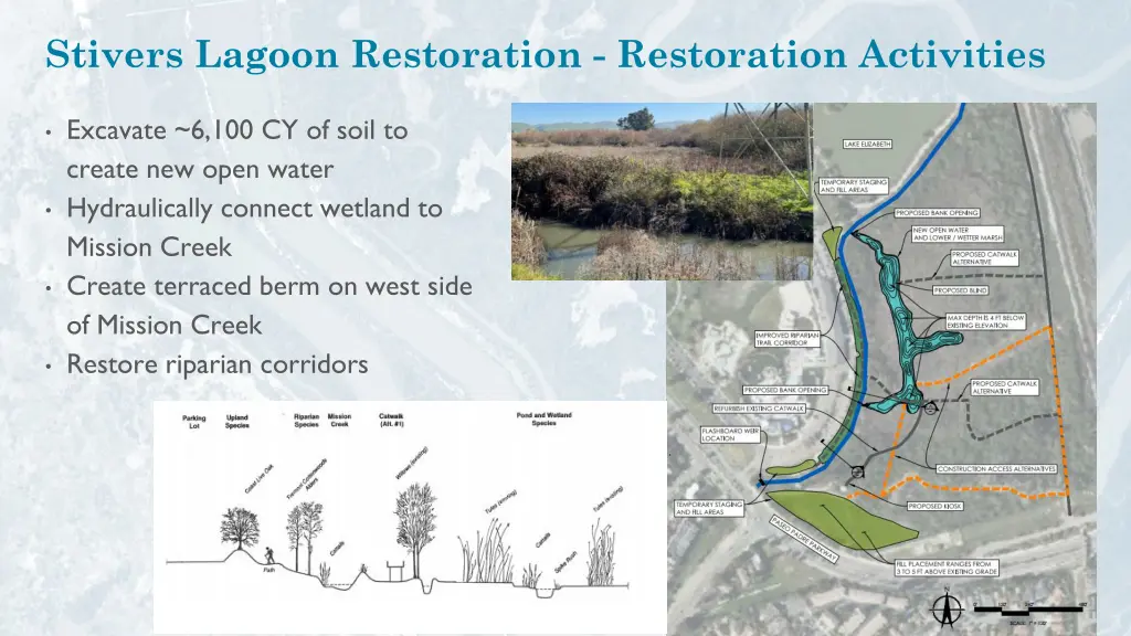 stivers lagoon restoration restoration activities