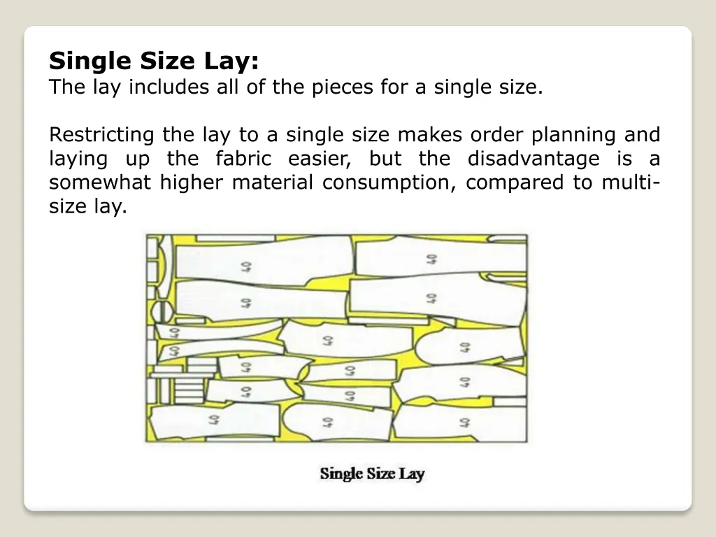 single size lay the lay includes