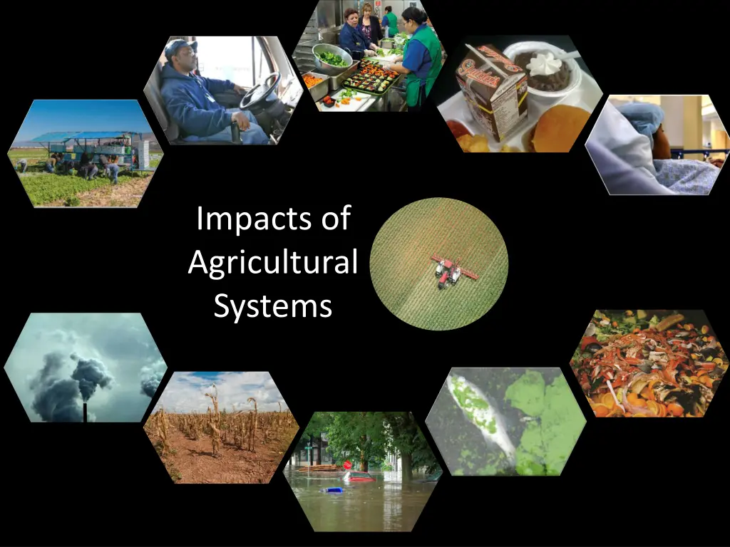 impacts of agricultural systems