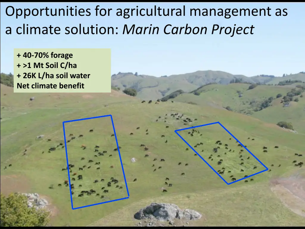 opportunities for agricultural management