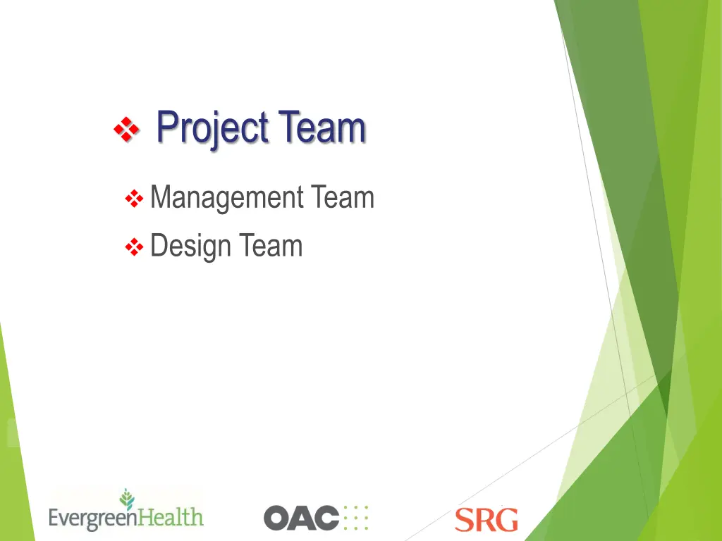 project team