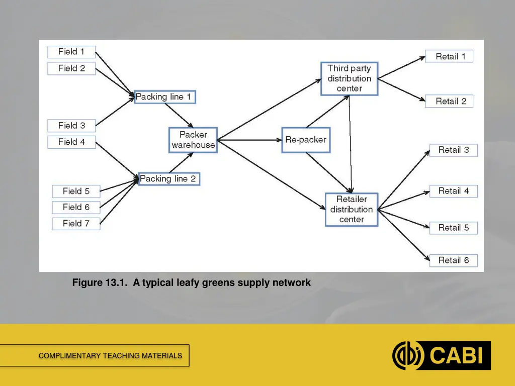 figure 13 1 a typical leafy greens supply network