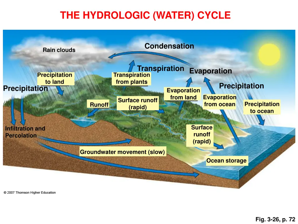 the hydrologic water cycle