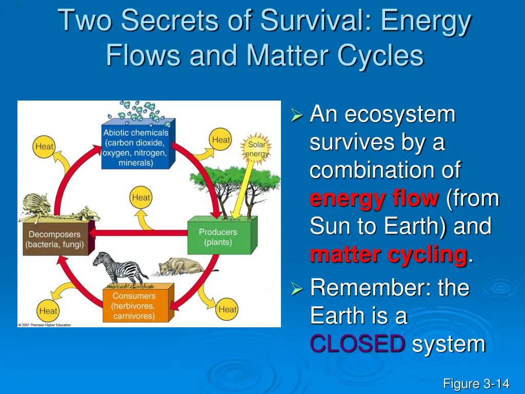 two secrets of survival energy flows and matter