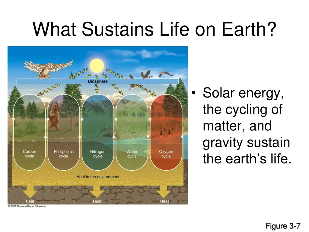 what sustains life on earth