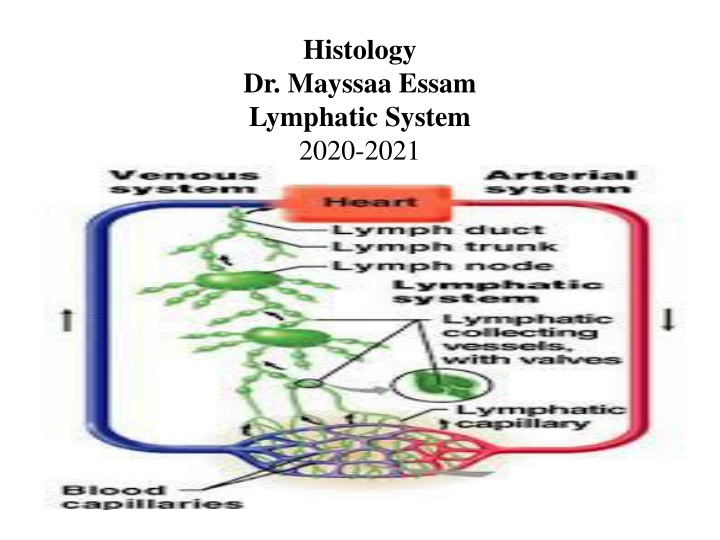 histology