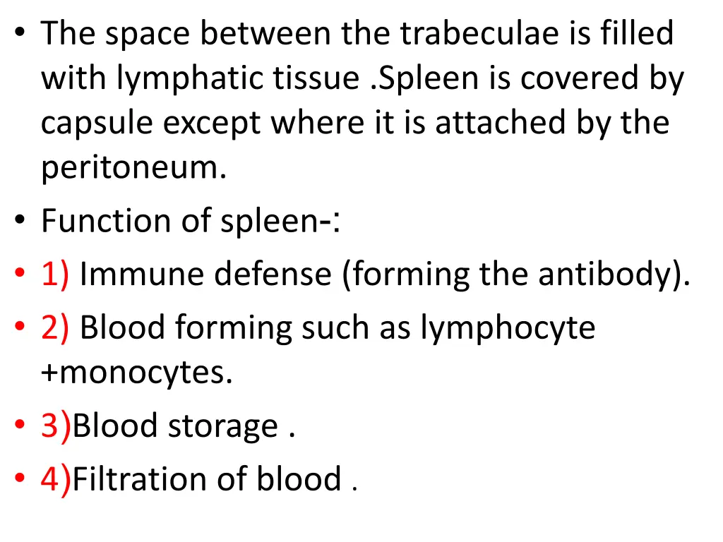 the space between the trabeculae is filled with