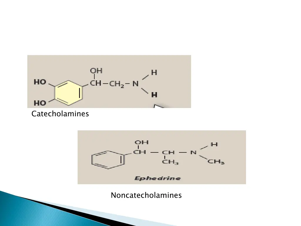 catecholamines