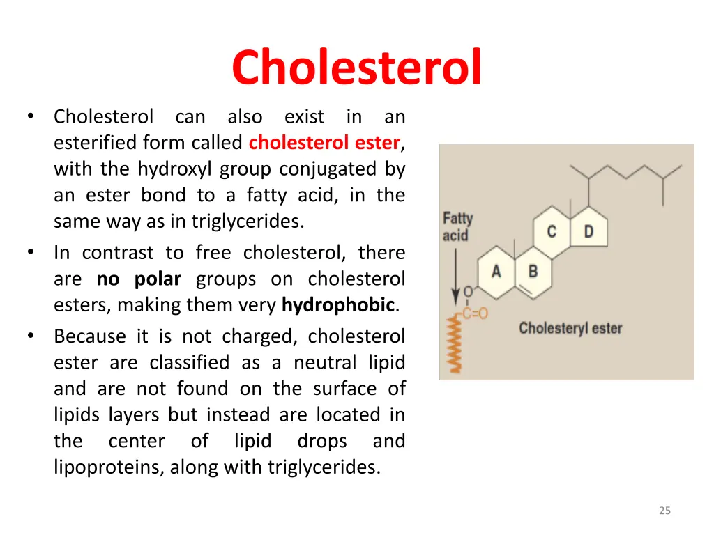 cholesterol 1