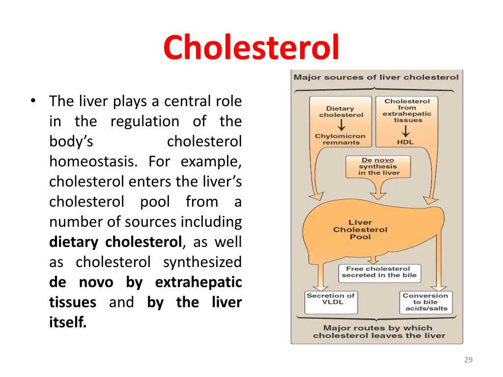 cholesterol 3