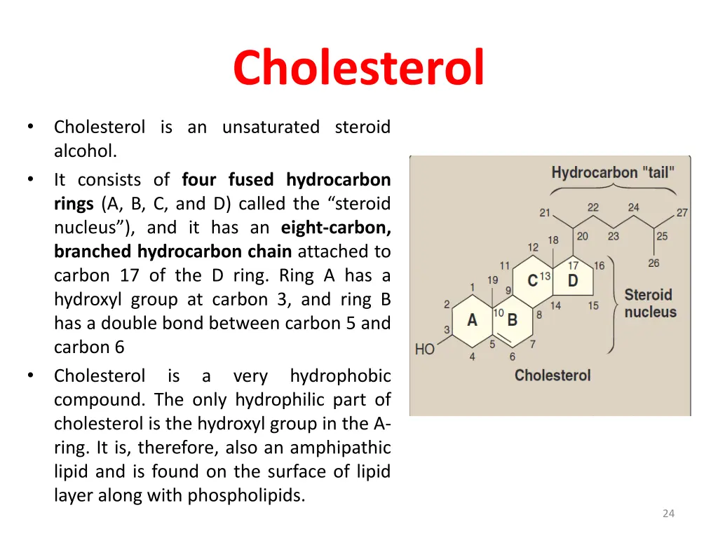 cholesterol