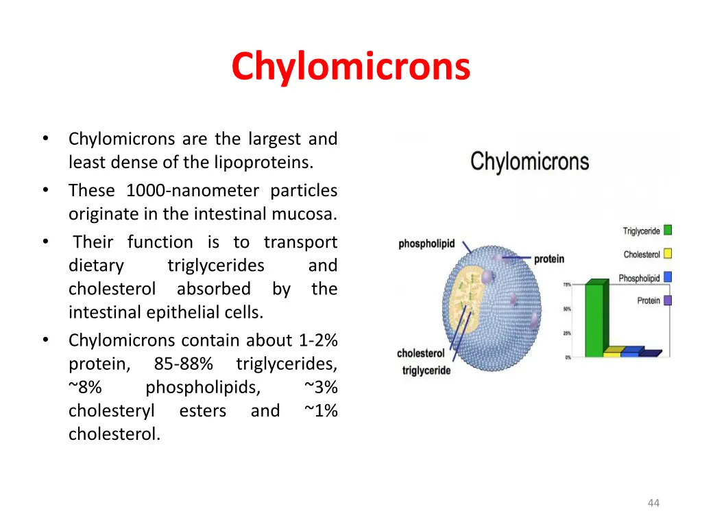 chylomicrons