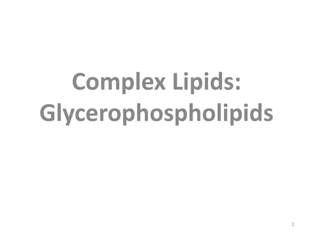 complex lipids glycerophospholipids