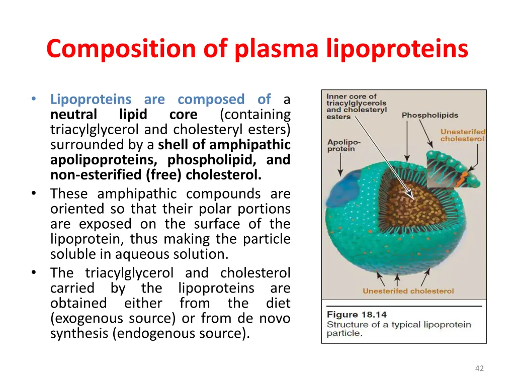 composition of plasma lipoproteins