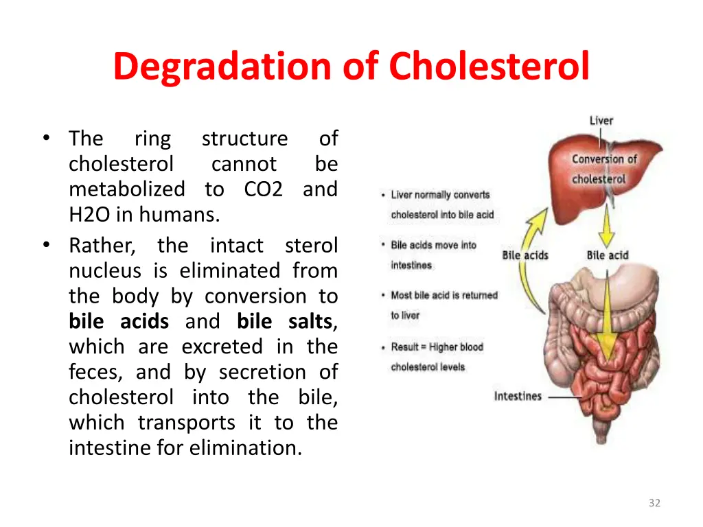 degradation of cholesterol