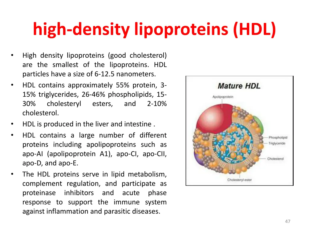 high density lipoproteins hdl