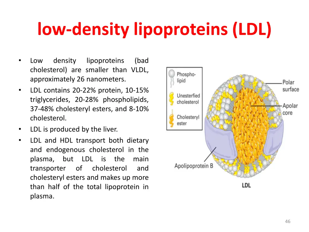 low density lipoproteins ldl