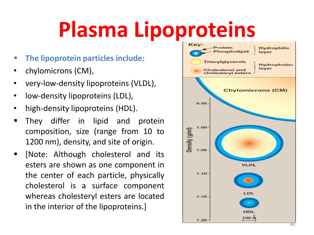 plasma lipoproteins 1