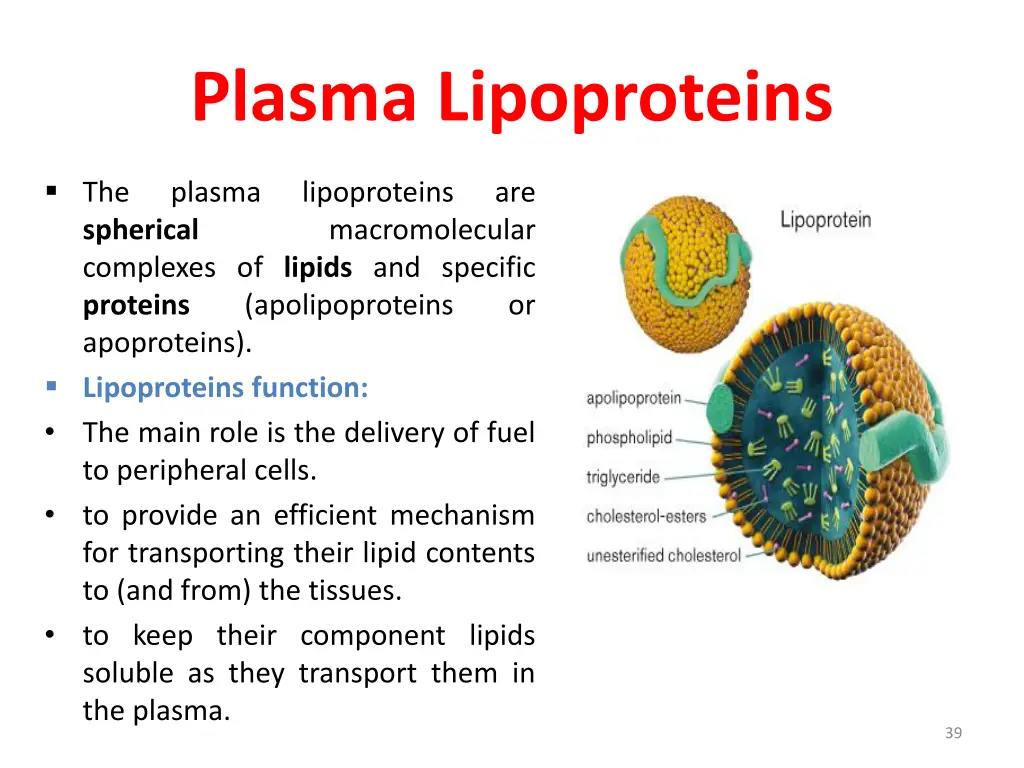 plasma lipoproteins