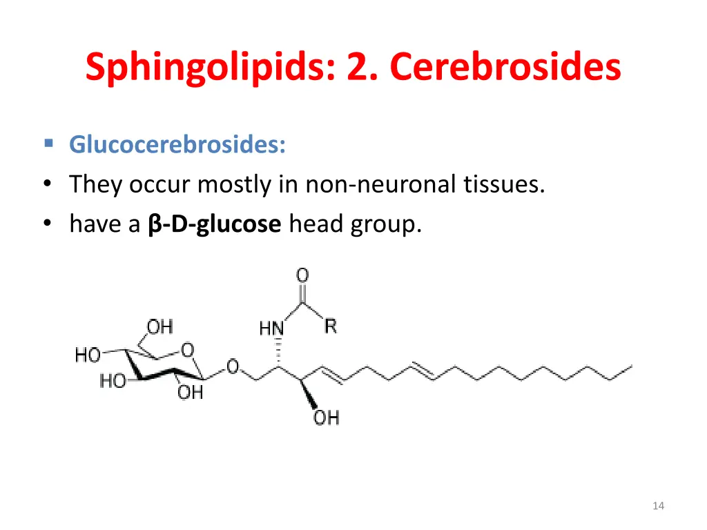 sphingolipids 2 cerebrosides 2