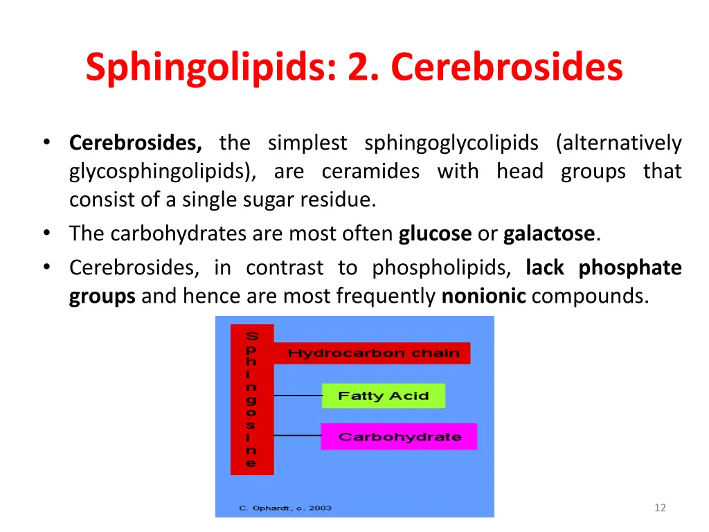 sphingolipids 2 cerebrosides