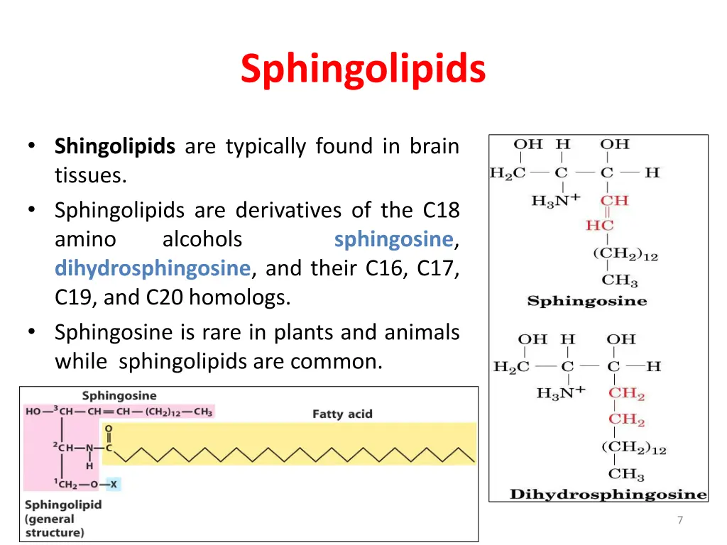 sphingolipids