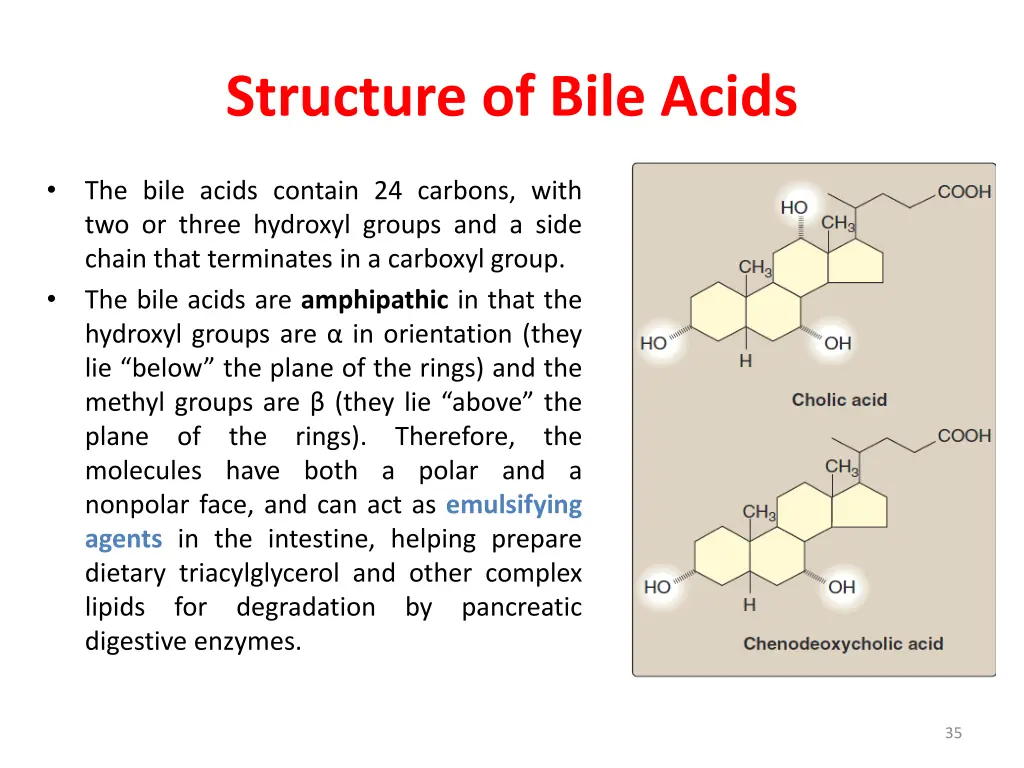 structure of bile acids