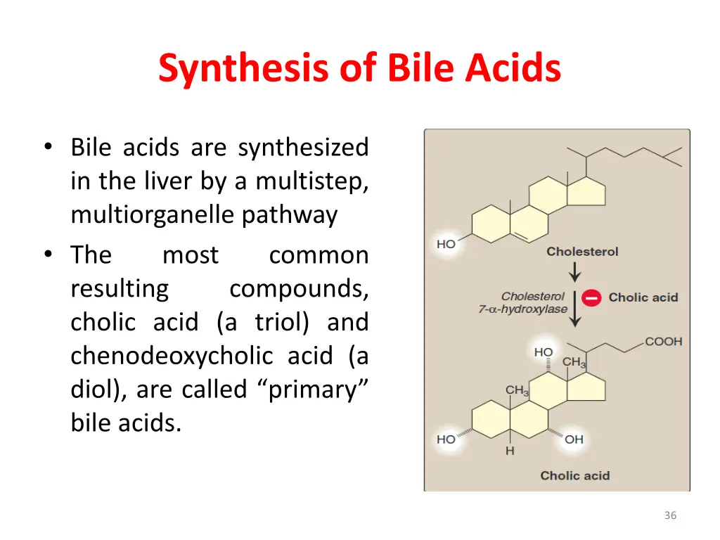 synthesis of bile acids