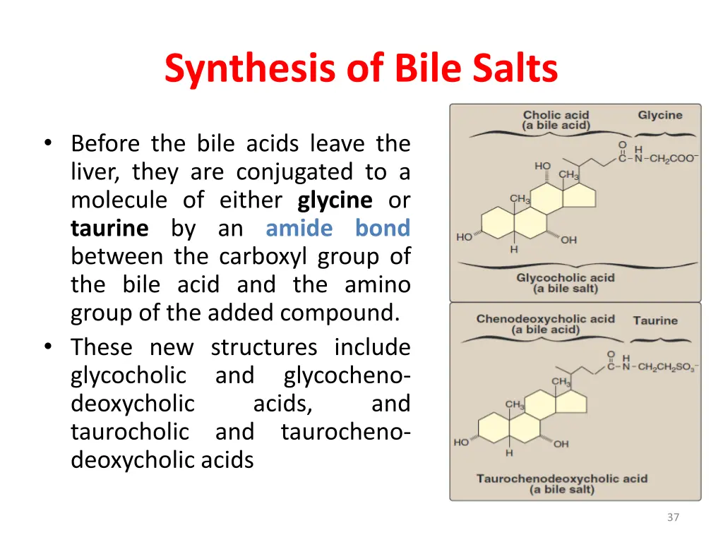 synthesis of bile salts