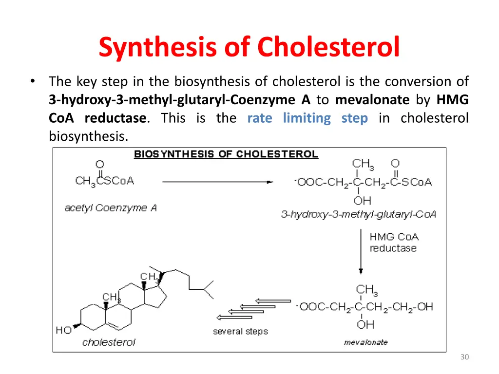 synthesis of cholesterol 2