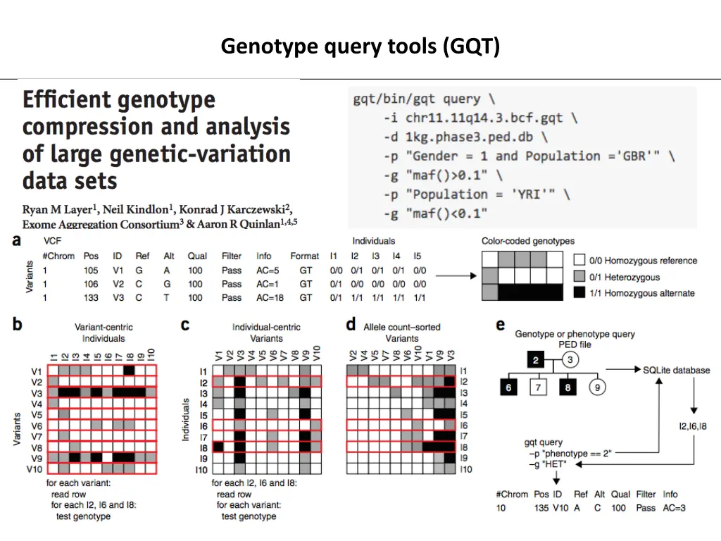 genotype query tools gqt