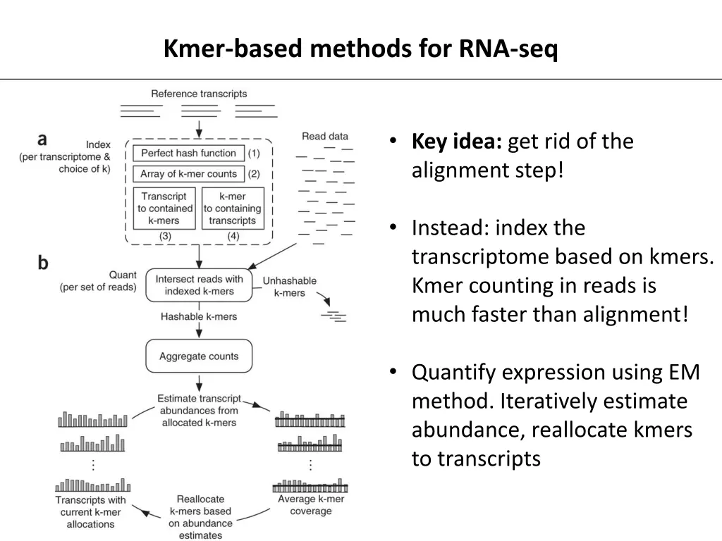 kmer based methods for rna seq