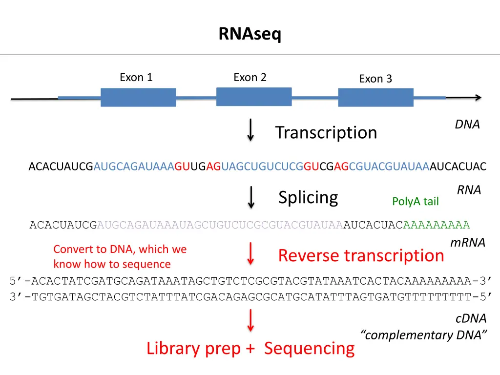 rnaseq