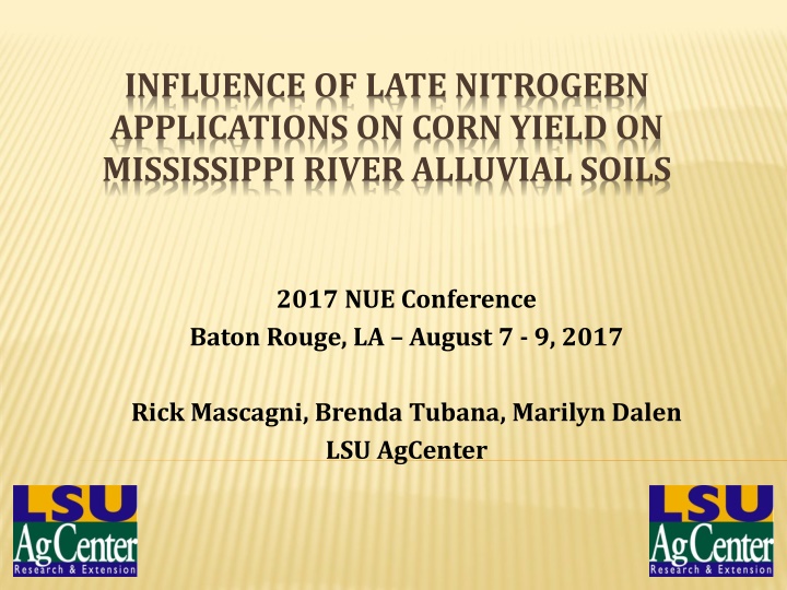 influence of late nitrogebn applications on corn