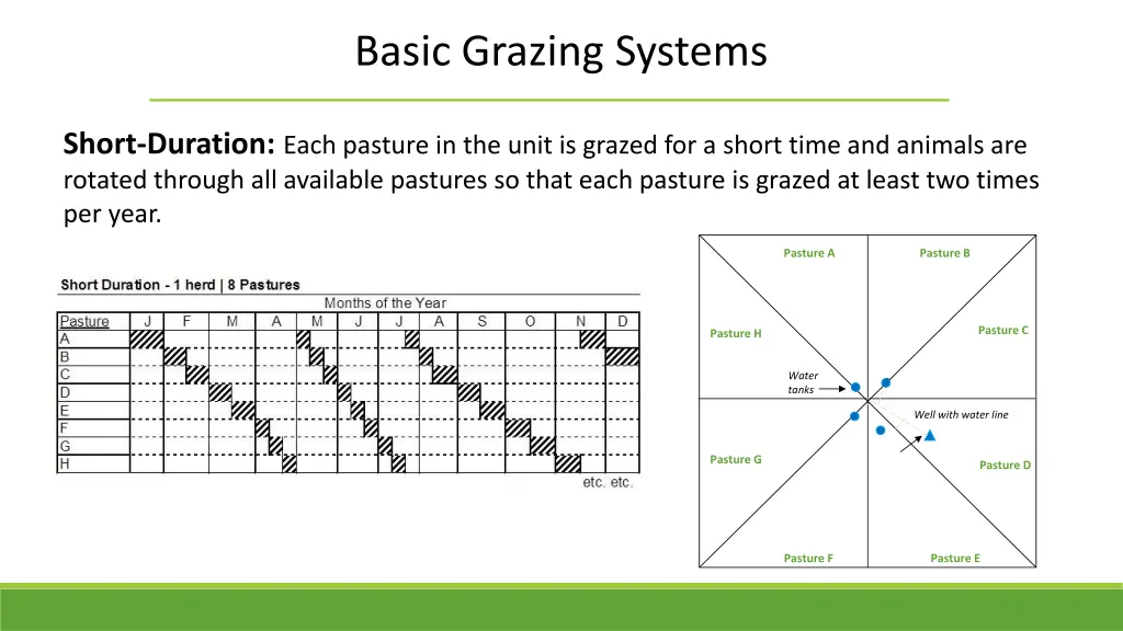 basic grazing systems 5