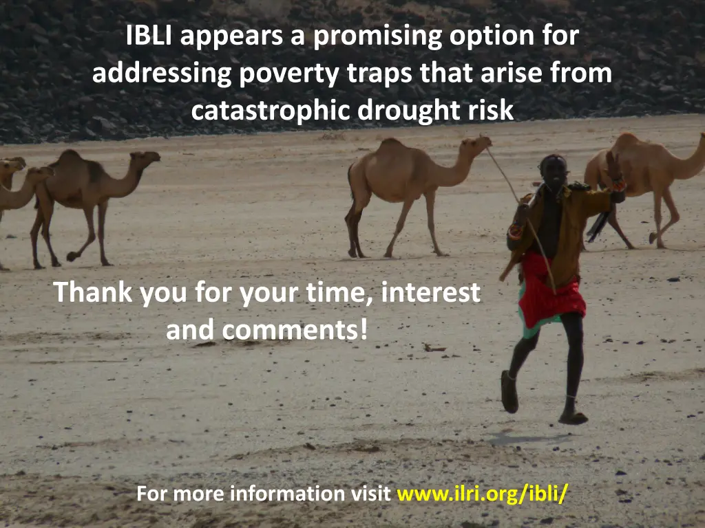 ibli appears a promising option for addressing