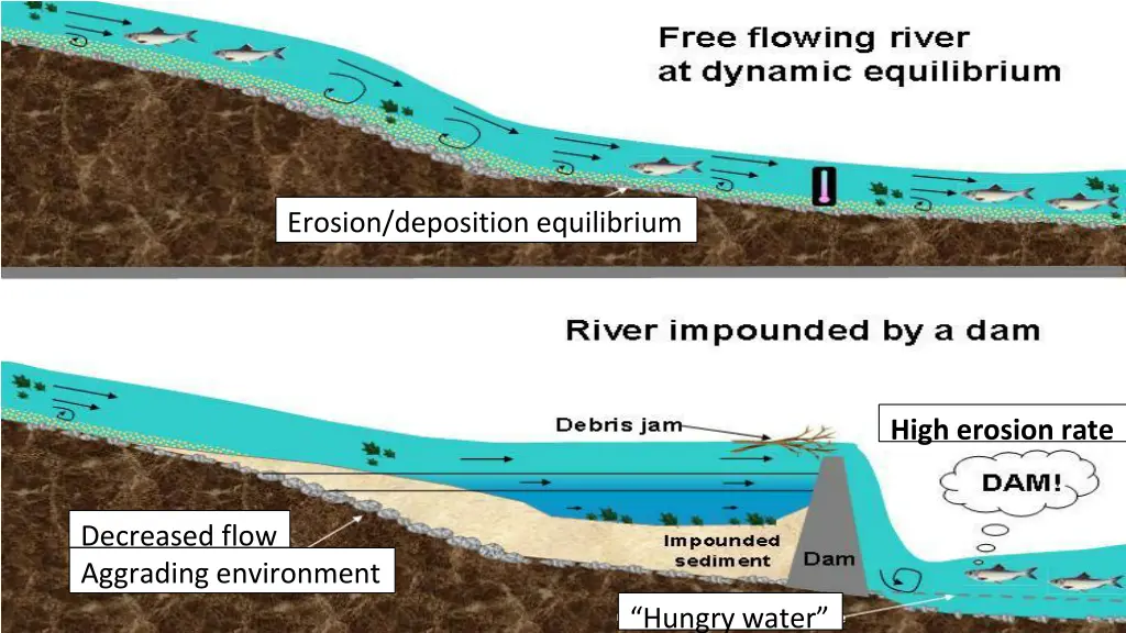 erosion deposition equilibrium