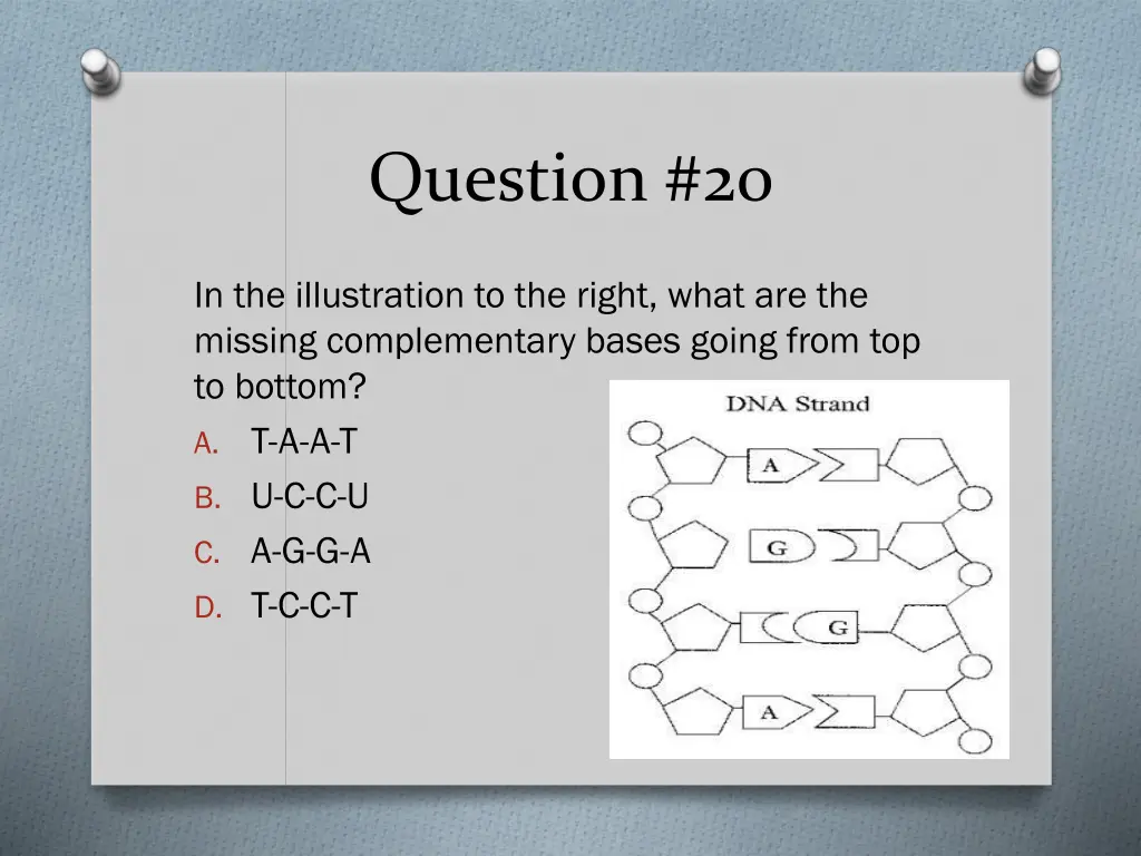 question 20