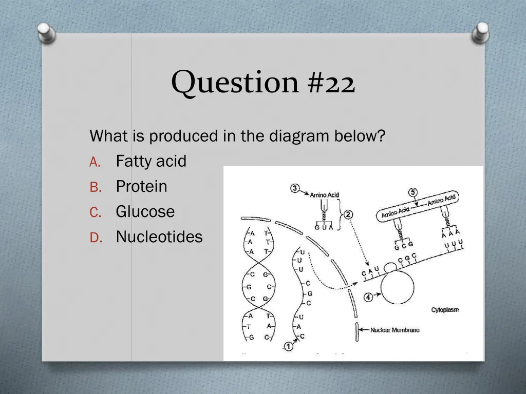 question 22