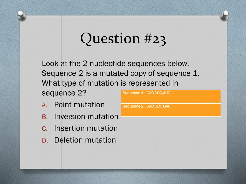 question 23